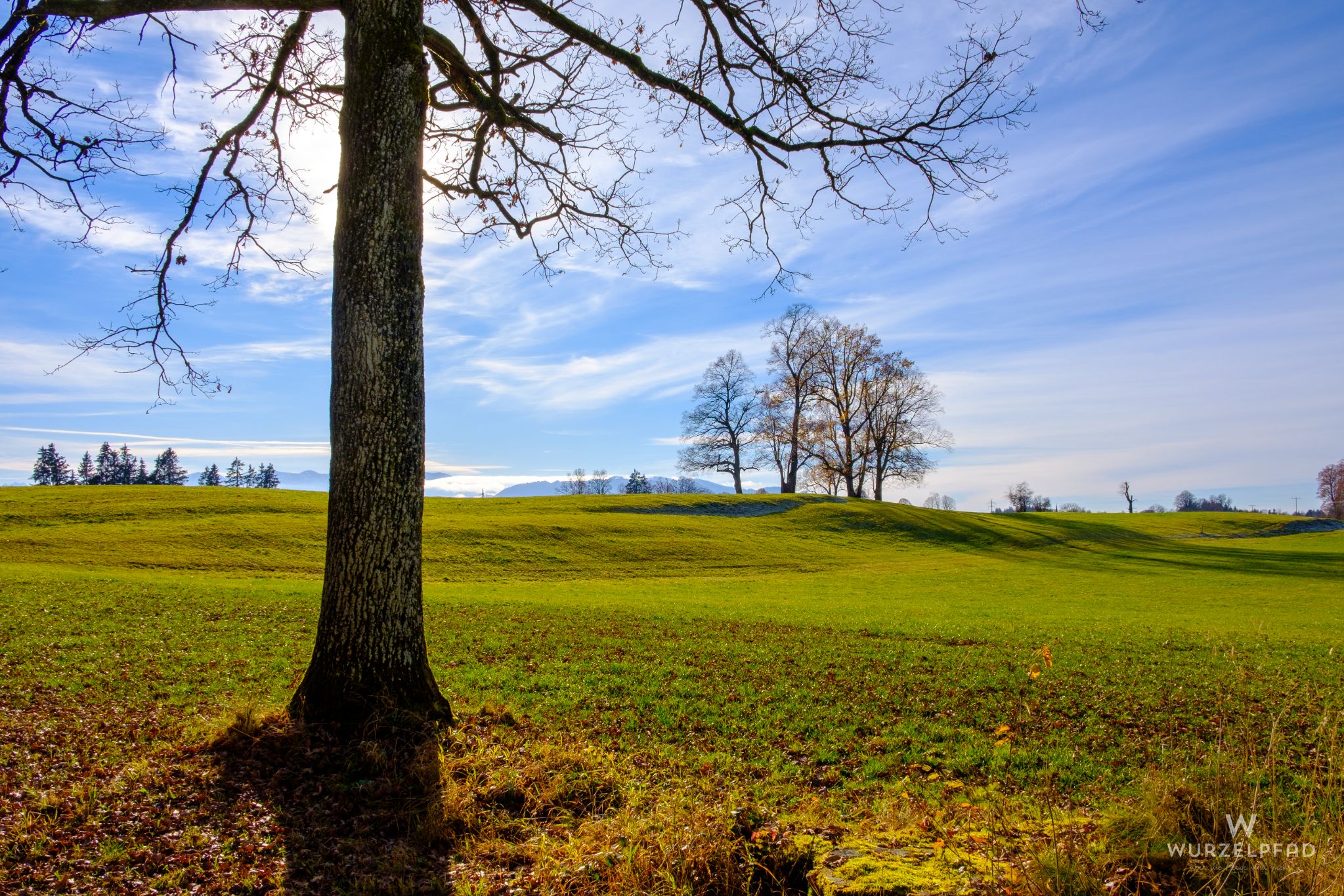 Wanderung rund um den Kirchsee